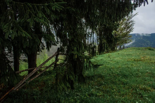 Morgentau Nebel Sonnenstrahlen in den Bergen — Stockfoto