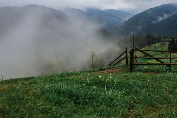 Morgentau Nebel Sonnenstrahlen in den Bergen — Stockfoto