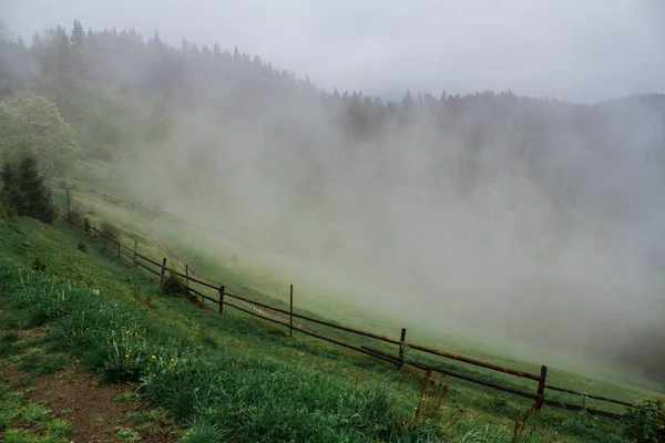 Matin rosée brouillard soleil rayons dans les montagnes — Photo