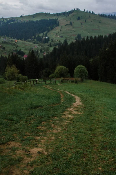 Dağlarda sabah çiğ sis güneş ışınları