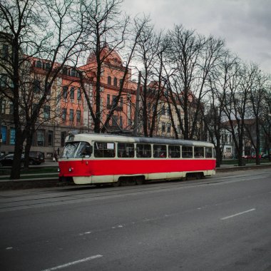 Yol kırmızı tramvay ağaç