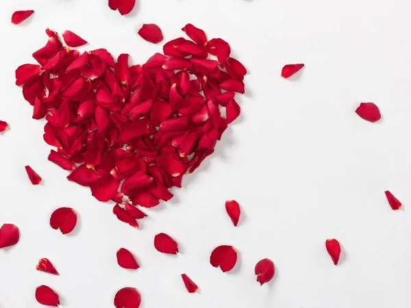 Červené srdce z růžových lístků na bílém pozadí, dovolená — Stock fotografie