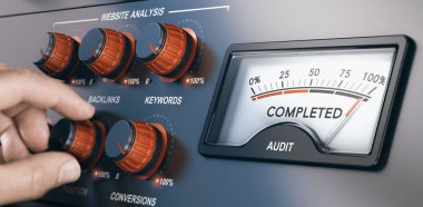 Web sitesi denetim uzmanı, Seo denetim