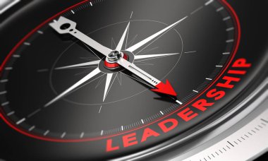 Şirket liderlik geliştirme ve yönetimi