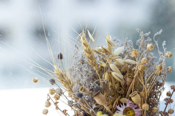 Bouquet Beautiful Wildflowers Herbarium — Stock Photo, Image