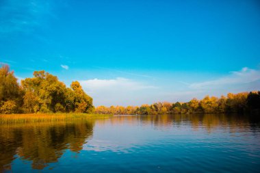 Sonbaharda nehrin yanında yaprakları güzel sarı ağaçlar.