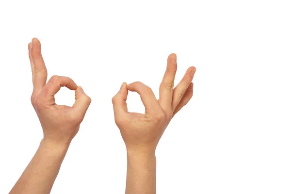Gesto Com Duas Mãos Isoladas Branco — Fotografia de Stock