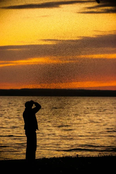 Fotógrafo Toma Fotos Insectos Sobre Lago — Foto de Stock