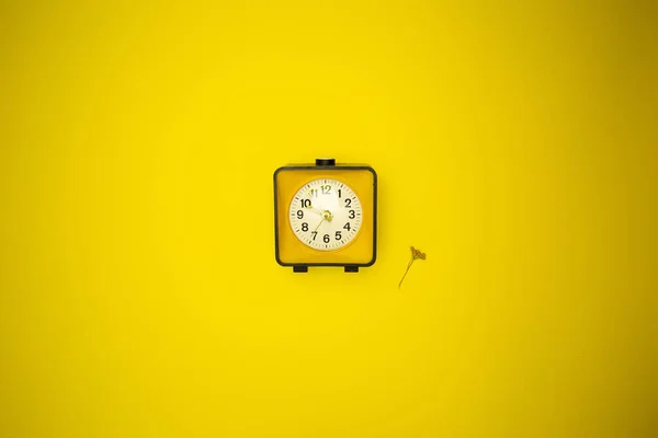 Reloj Amarillo Reloj Despertador Flor Silvestre — Foto de Stock