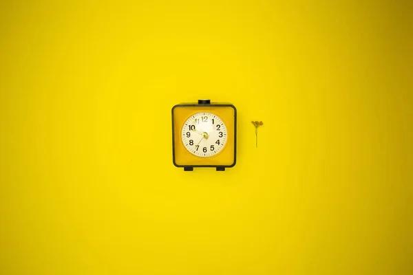 Reloj Amarillo Reloj Despertador Flor Silvestre — Foto de Stock