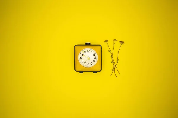 Reloj Amarillo Reloj Despertador Flor Silvestre —  Fotos de Stock