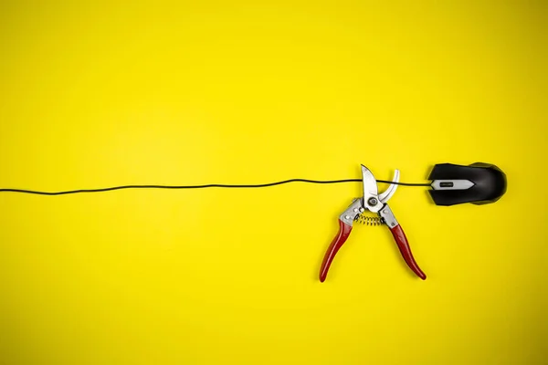 Nippers Cut Wire Computer Mouse — Stock Photo, Image