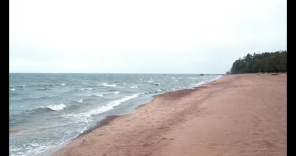 Cloudy Day Gulf Finland Gloomy Baltic Sea — Stock Video