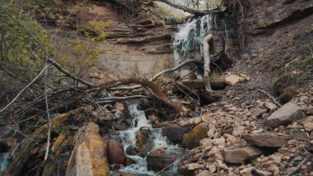 Cachoeira Florestal Fluxo Florestal Natureza Rússia — Vídeo de Stock
