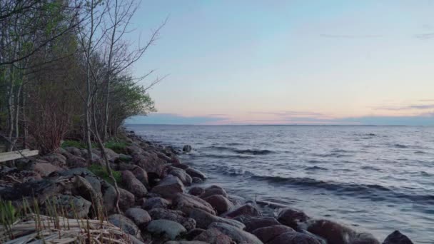 Tilki Burun Burnu Baltık Denizi Finlandiya Körfezi — Stok video