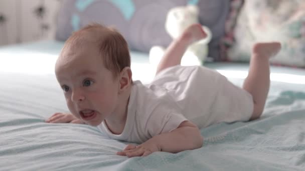 Baby op maag en glimlachen. Dolly schot. — Stockvideo