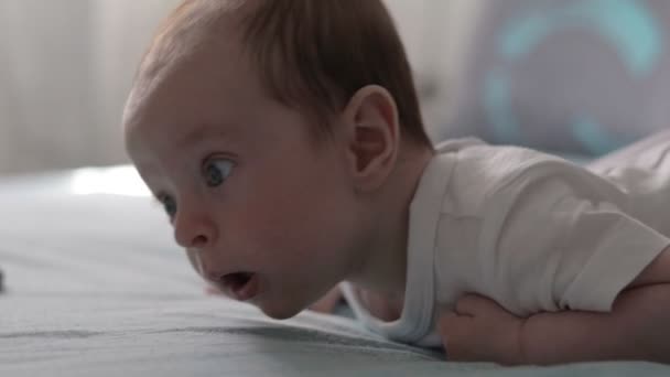 Baby op maag en glimlachen. Dolly schot. — Stockvideo