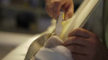 Tutkal ve deri ile çalışma