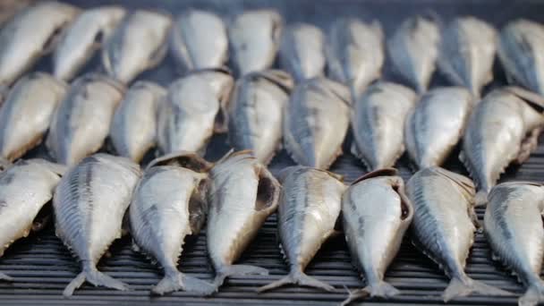 Mackerel hot smoked. Carcasses of fish in grill from which there is a light smoke — Stock Video
