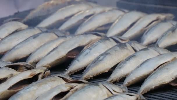 Rökt makrill hot. Slaktkroppar av fisk i grill från vilken det finns en ljus rök — Stockvideo