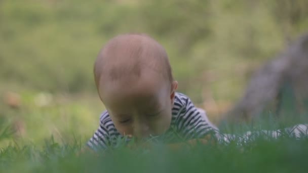 Маленький ребенок лежит на траве усмехается и играет с травой крупным планом — стоковое видео