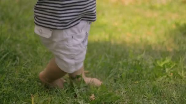 Baby eerste stappen op gras — Stockvideo