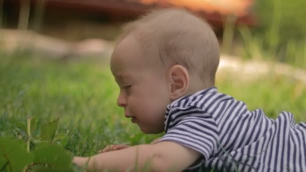 Egy kisgyerek fekszik a fűben, sírás közeli képe — Stock videók