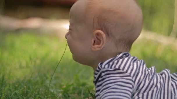 Egy kisgyerek fekszik a fűben cry közelről — Stock videók