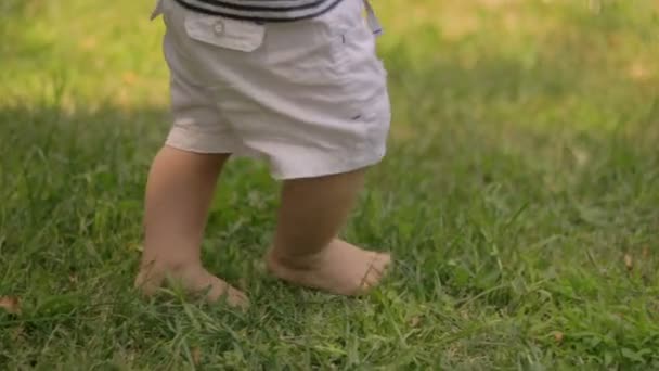 Baby första steg på gräs — Stockvideo