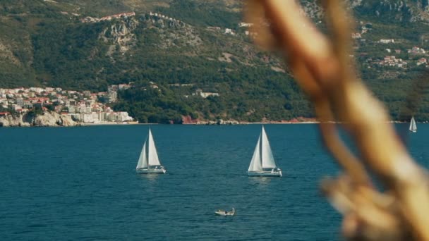 En segelbåt på horisonten i vackra Adriatiska havet — Stockvideo