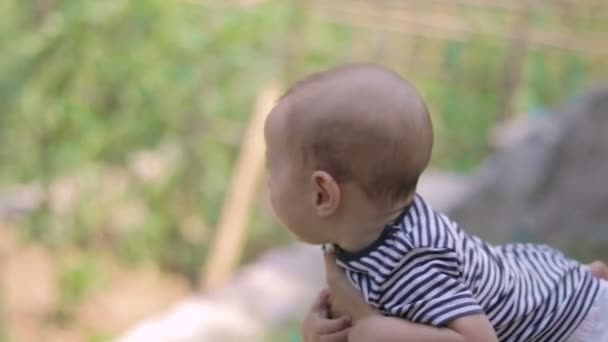 母 hends の赤ちゃん — ストック動画