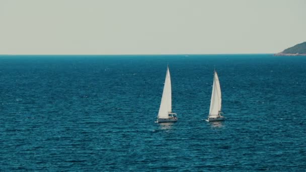 Un voilier à l'horizon dans la belle mer Adriatique — Video