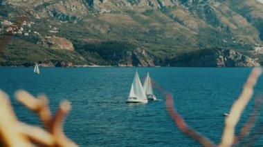 Aşırı güzel Adriyatik Denizi Yatlar açmak