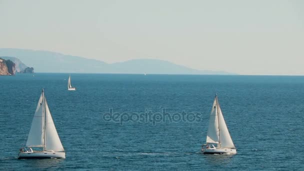 Ένα ιστιοπλοϊκά στον ορίζοντα την όμορφη Αδριατική θάλασσα σε slowmotion — Αρχείο Βίντεο