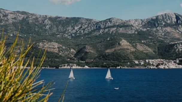 Güzel Adriyatik Denizi'nde ufukta bir yelkenli — Stok video