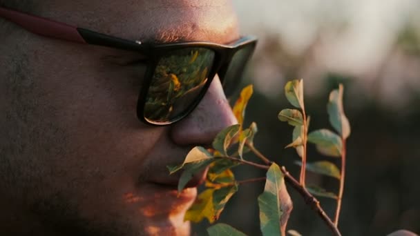 Slowmotion di Bello giovane uomo di moda che indossa occhiali da sole e guarda il tramonto nel campo. 1920x1080 primo piano — Video Stock