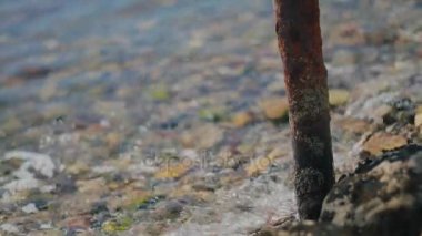 Alıştırma ve kayalık plaj paslı boru üzerinde basık küçük dalgalar