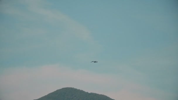 Möwe fliegt vor dem Hintergrund der Berge und des Meeres — Stockvideo