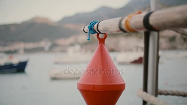 Una boa che pende su un bastone sulla spiaggia — Video Stock