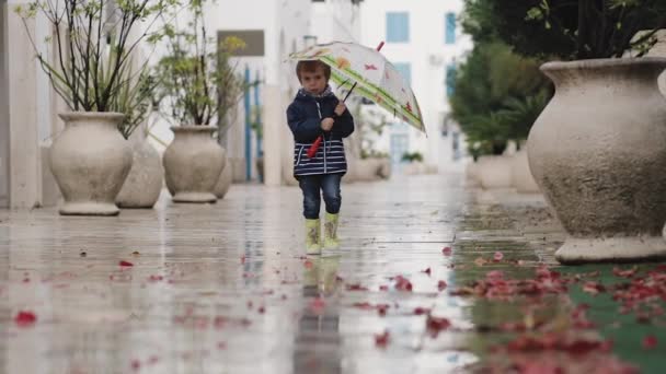 A child in rubber boots is walking with a hontik in his hands in the rain — Stock Video