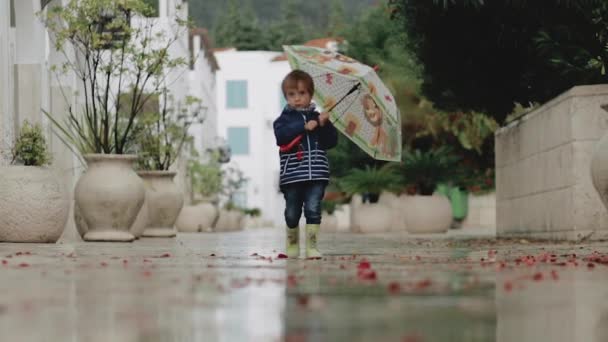 En liten pojke i gummistövlar går genom pölar med ett paraply under regnet — Stockvideo