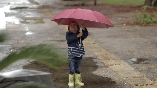 Um menino fica com um guarda-chuva e botas de borracha em uma poça na chuva . — Vídeo de Stock