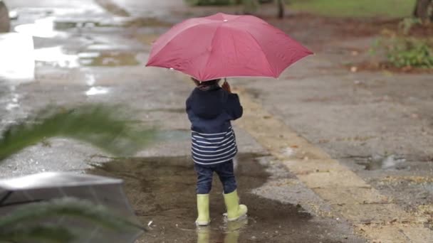 Um menino fica com um guarda-chuva e botas de borracha em uma poça na chuva . — Vídeo de Stock