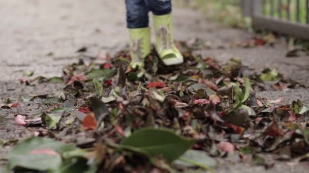 一个穿着橡胶靴和牛仔裤的小男孩用脚踏着秋天的黄叶，走在树叶上 — 图库视频影像