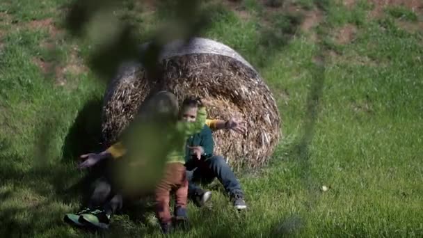 Young family mom and two sons cuddle against a backdrop of grass and hay — Stock Video