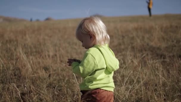 Um menino com cabelo loiro confuso está em um campo — Vídeo de Stock