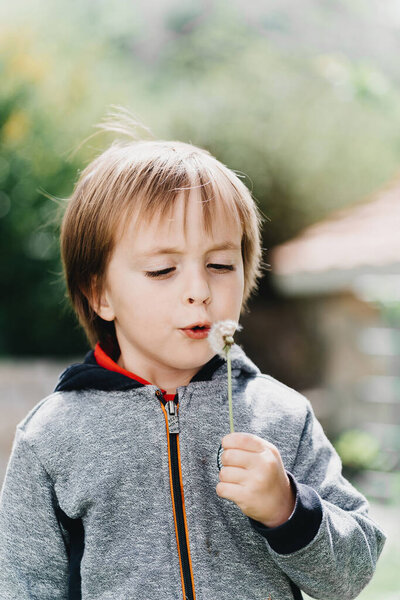 Little boy blows in dandelion on sunlight