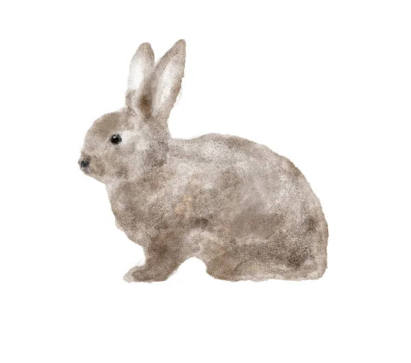 水彩的棕色兔手绘的复活节图 — 图库照片