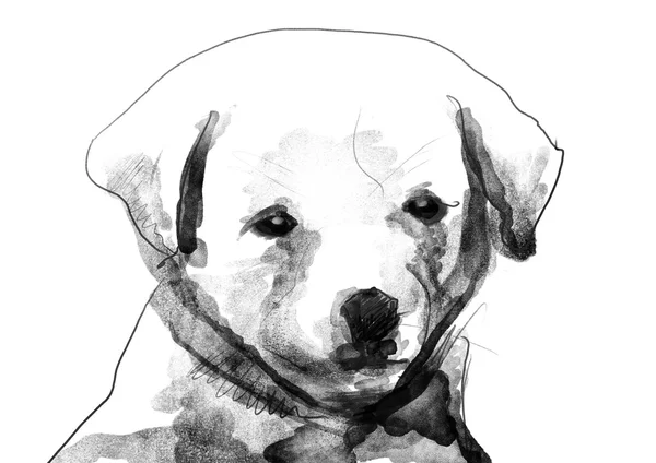 Puppy watercolor sketch black and white illustration — Stock Photo, Image