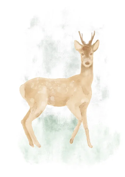 Watercolor roe deer hand painted illustration from animals collection — Stock Photo, Image